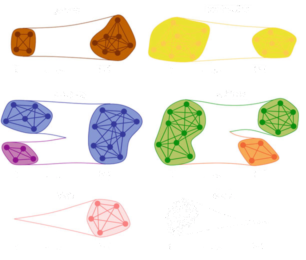 Community evolution forms